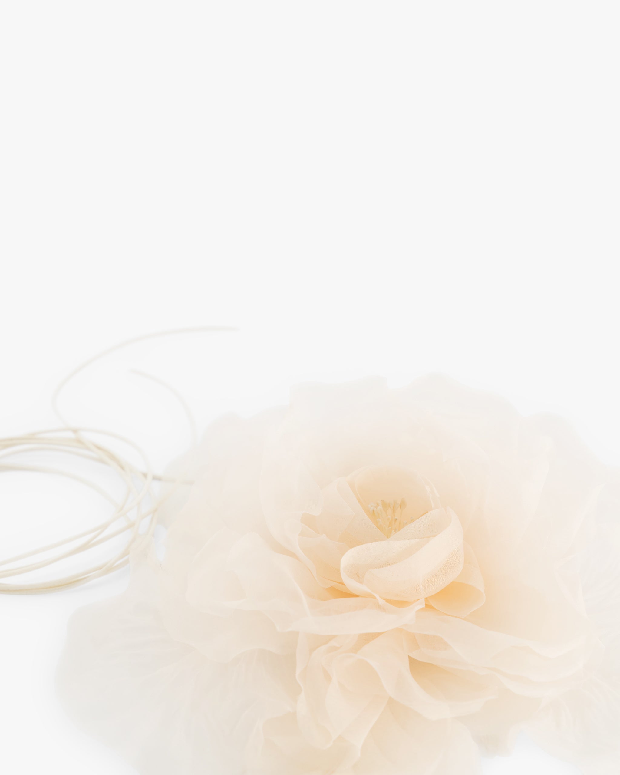 LA FLEUR Púdar Bándearg