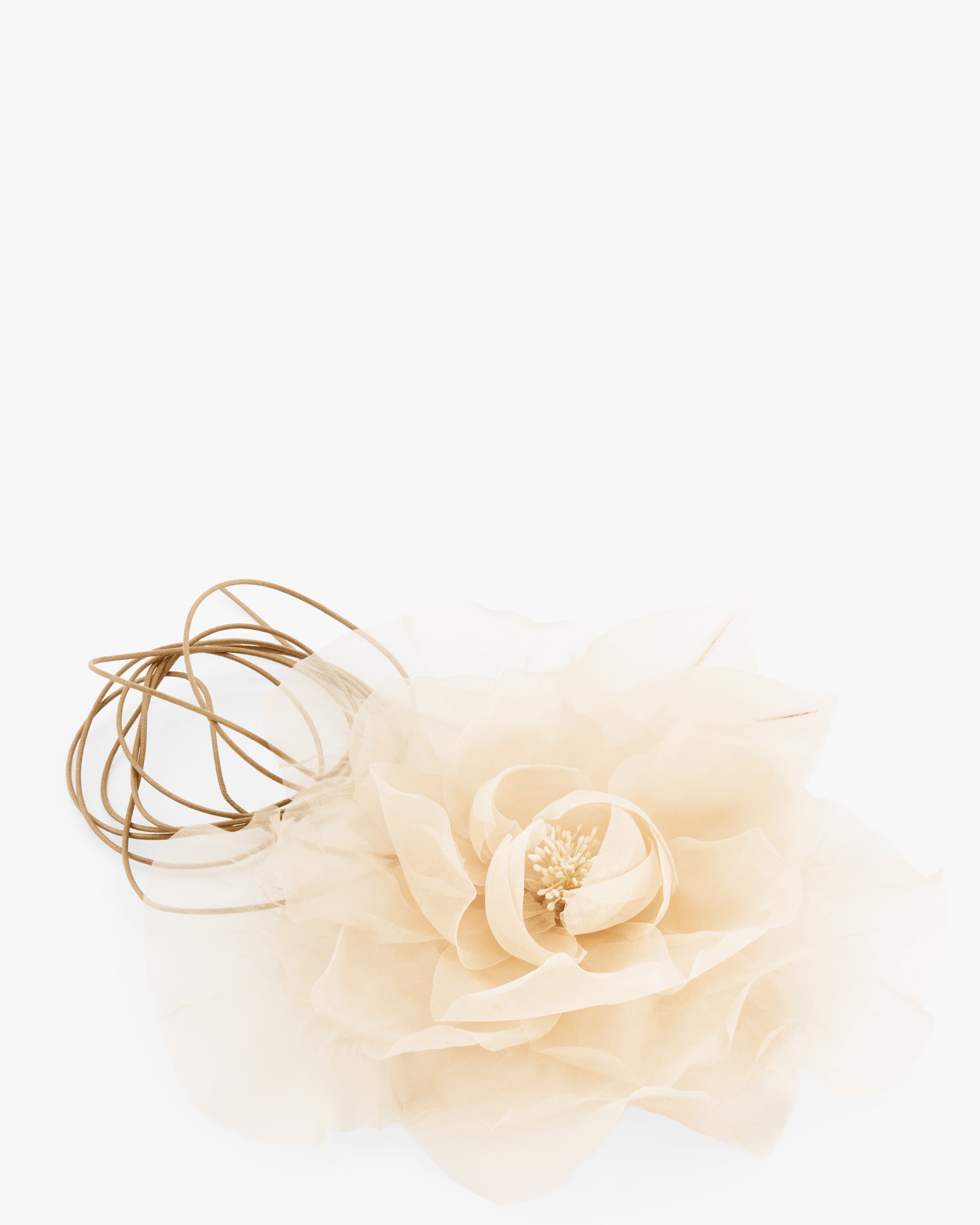 NUDE FLOWER