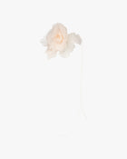 LA FLEUR PUDERROSA