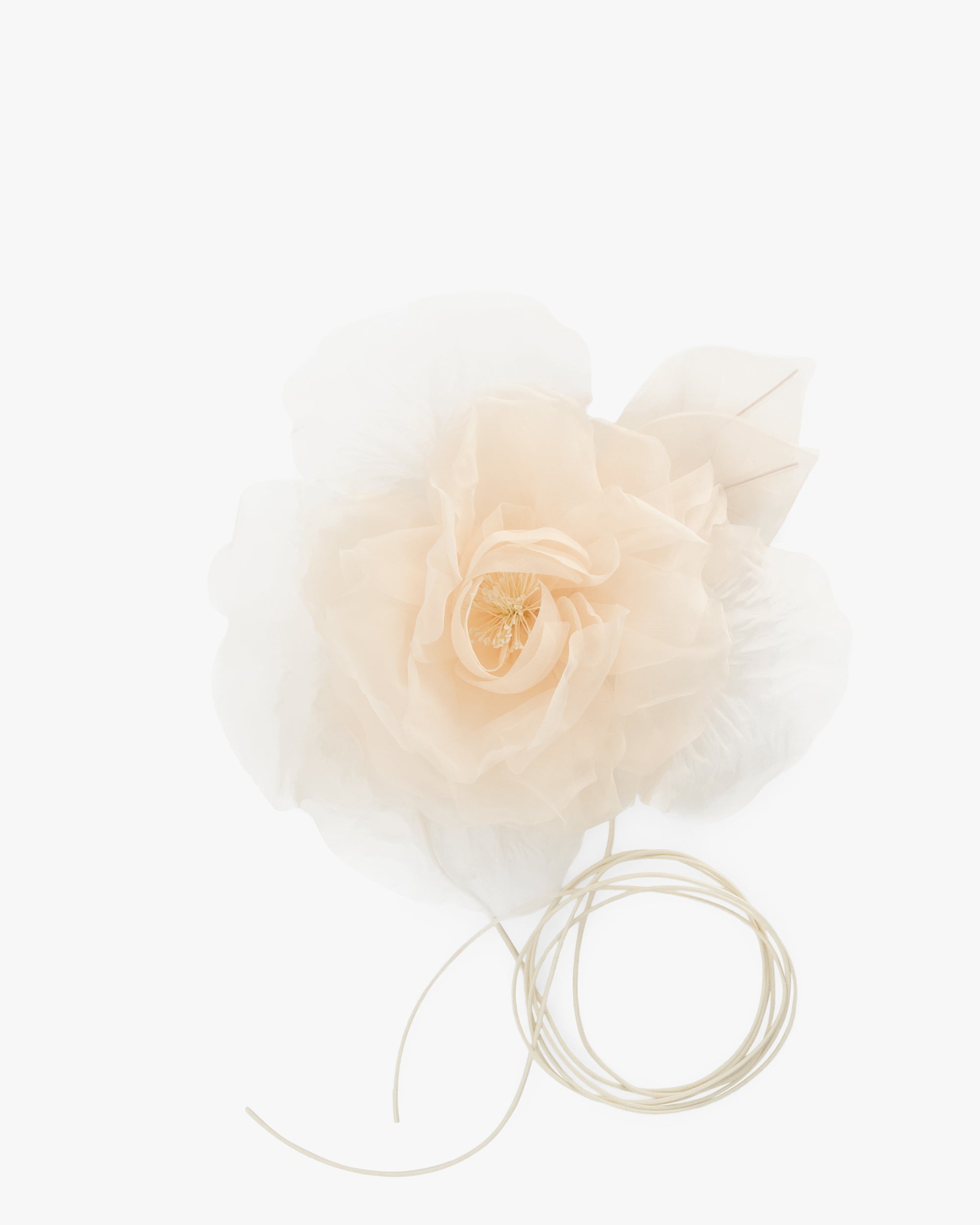LA FLEUR PUDERROSA