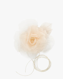LA FLEUR PUDERROSA
