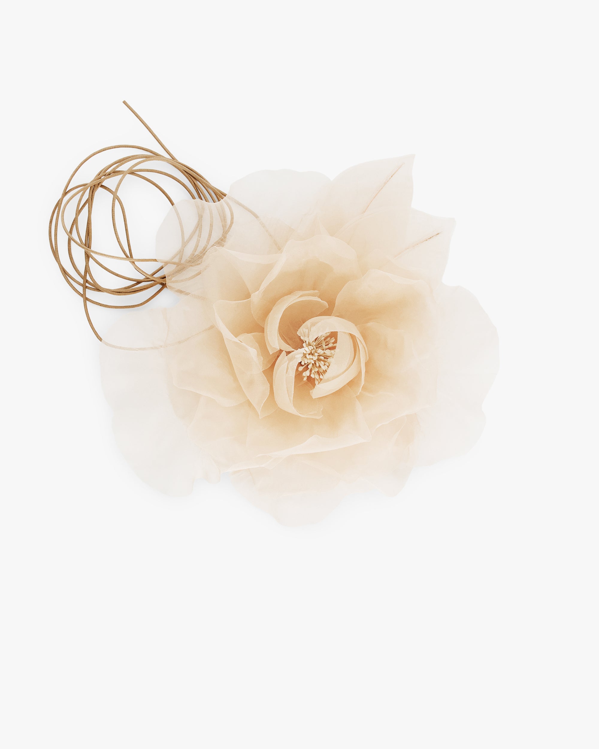 NUDE FLOWER