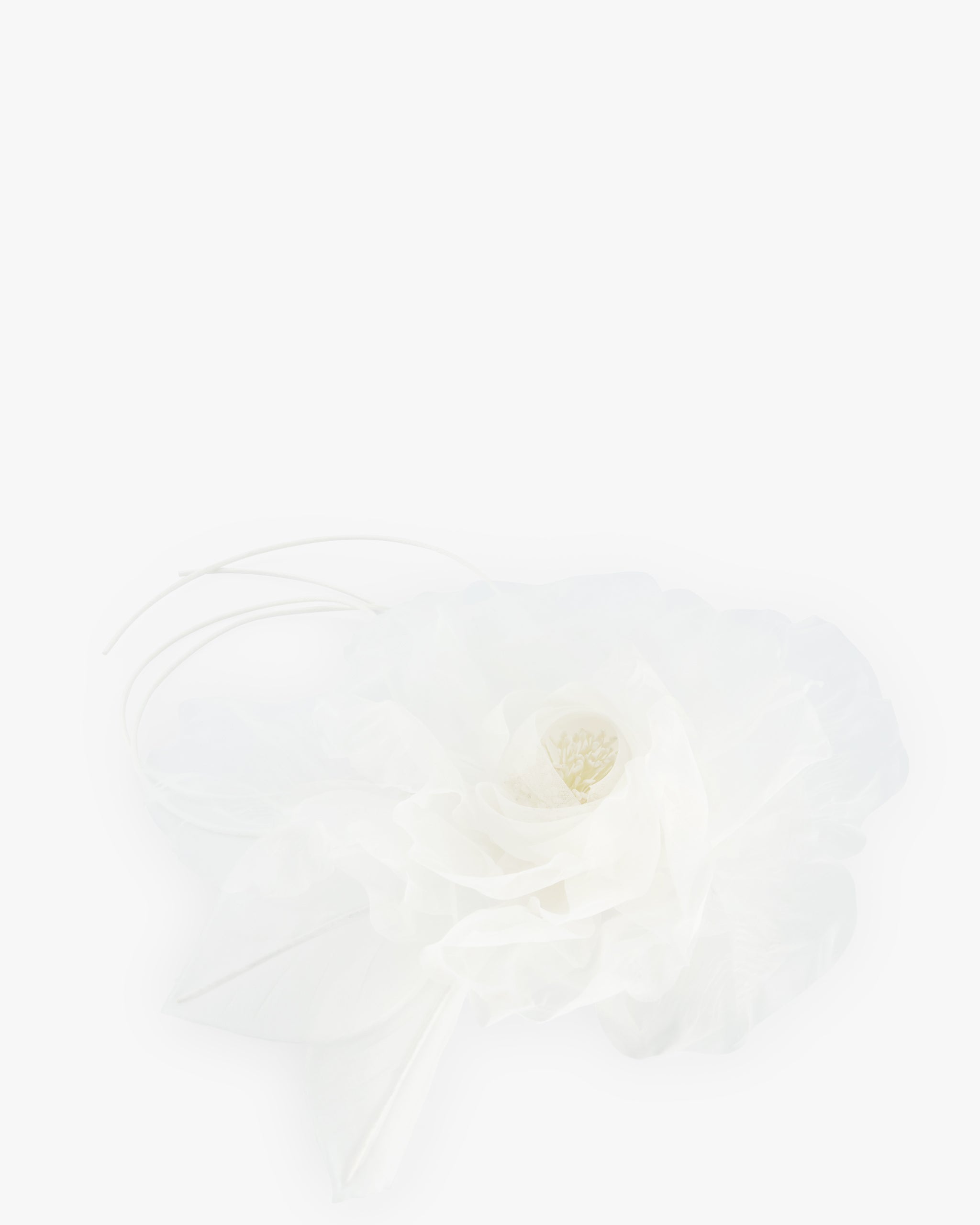 LA FLEUR SANFTES WEIß