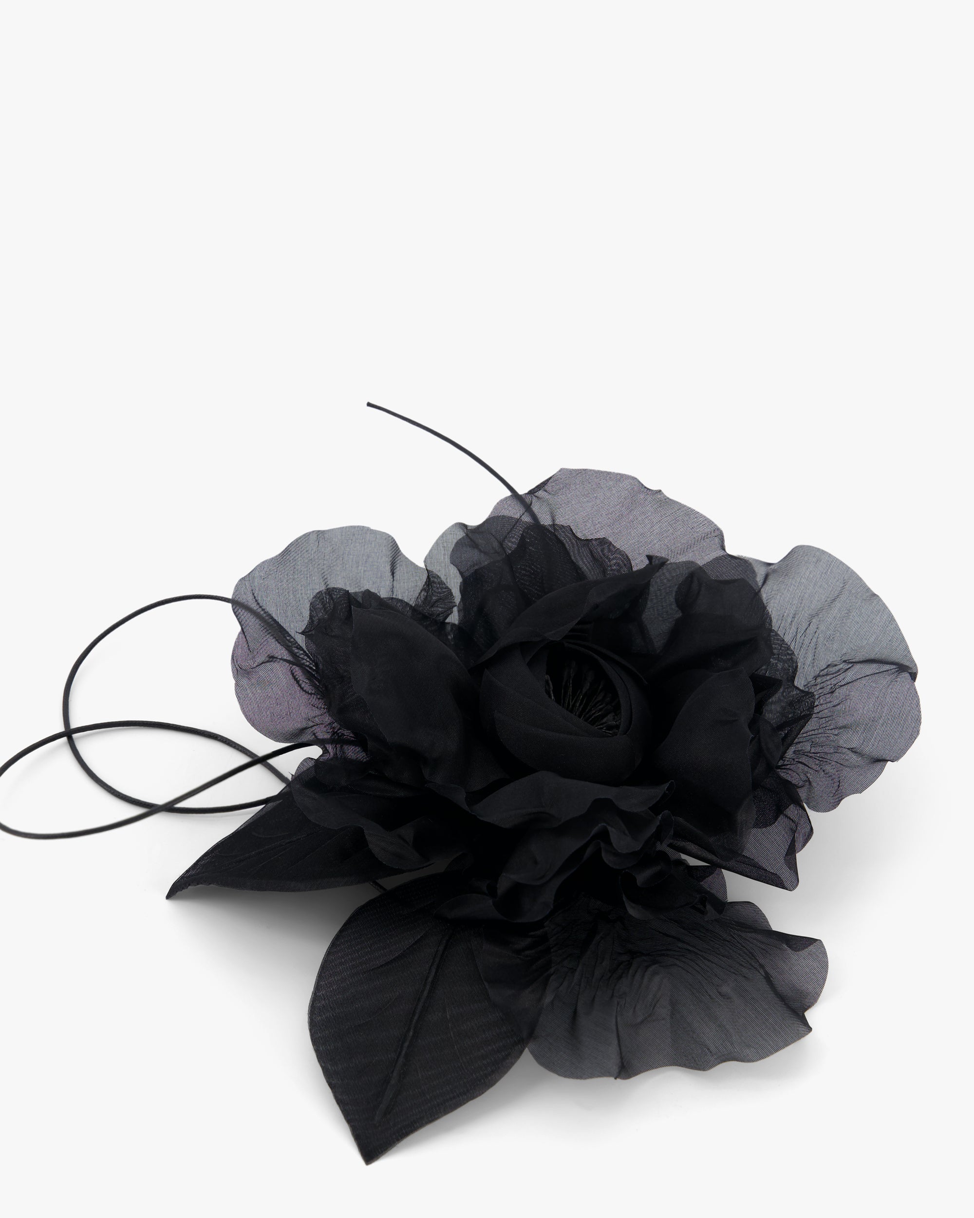 LA FLEUR BLACK