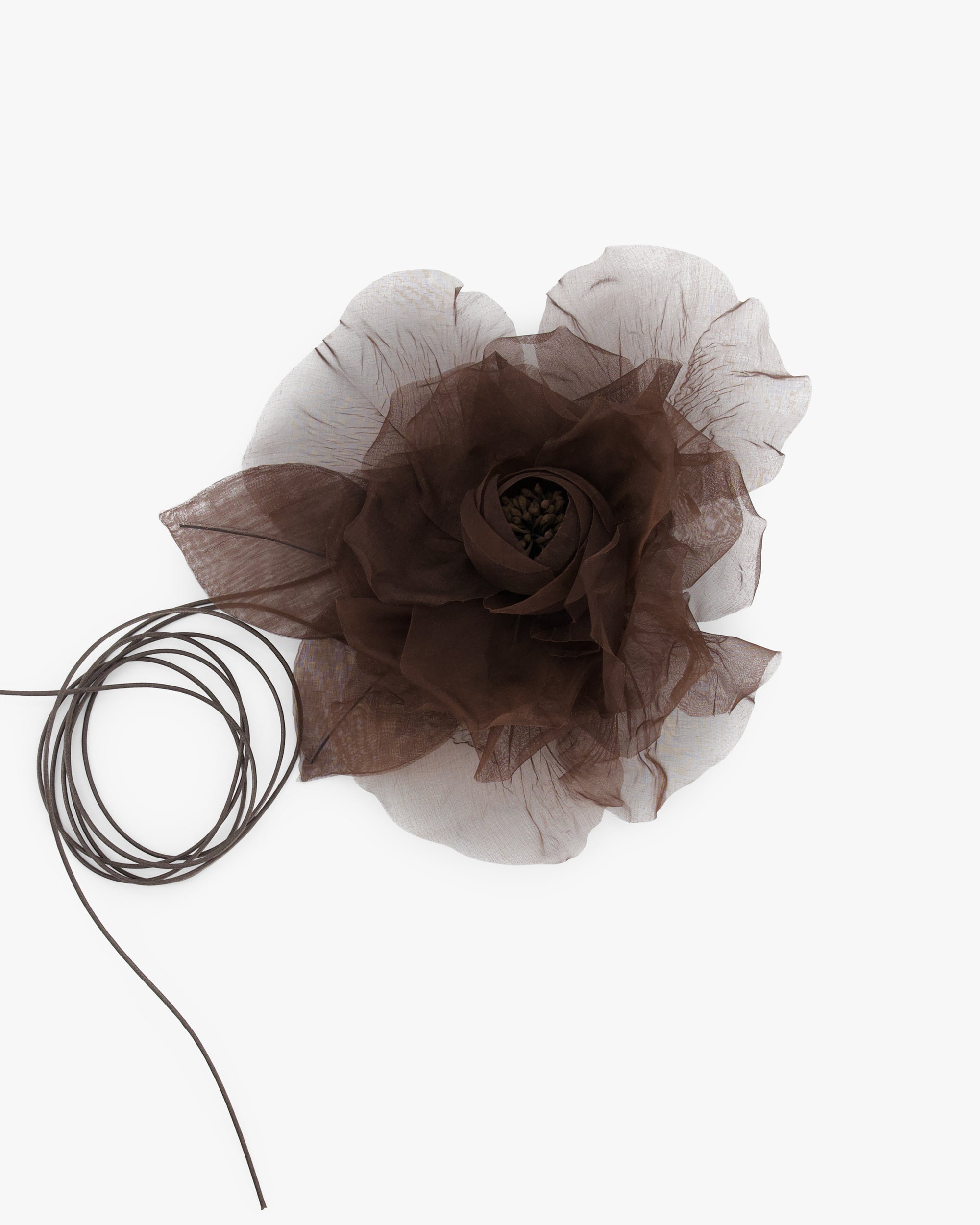 LA FLEUR MARRONE SCURO